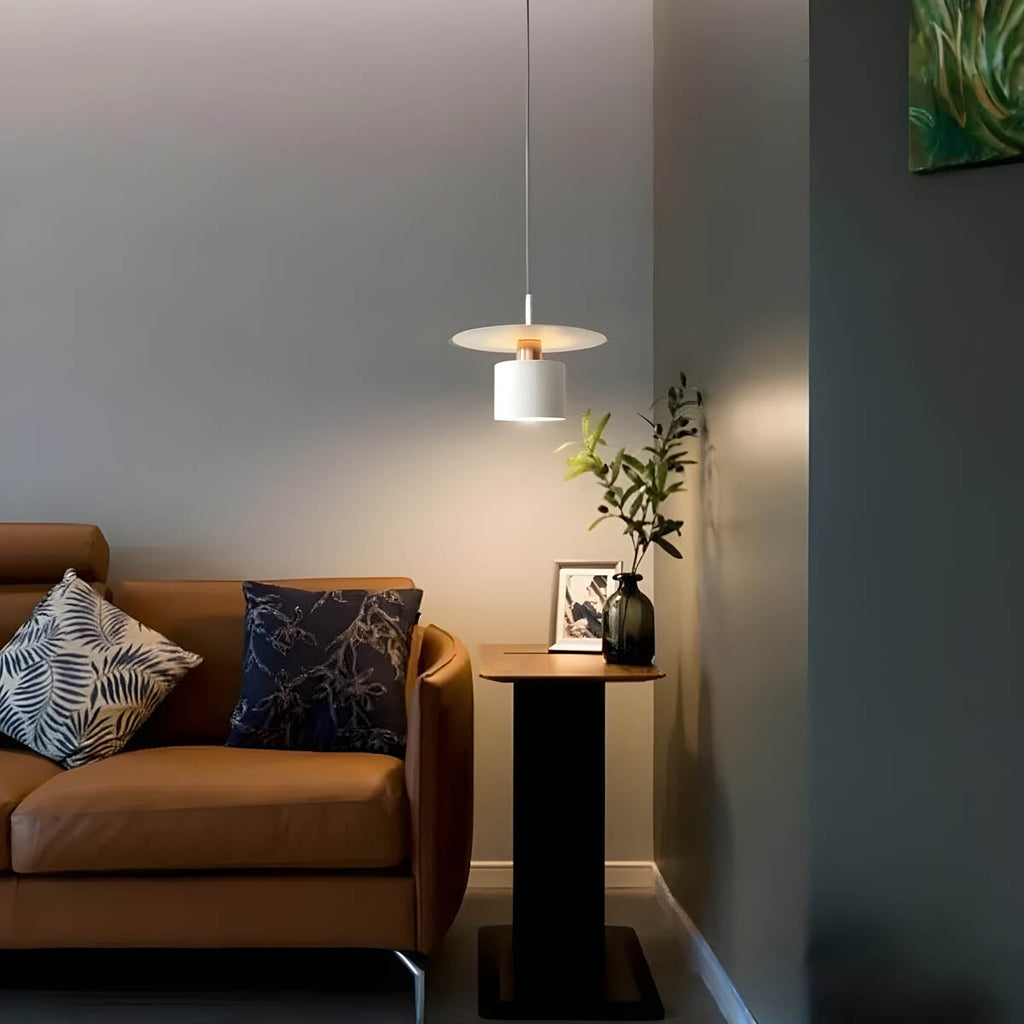 Pendant Light | Modern Minimalist Ceiling Lamp