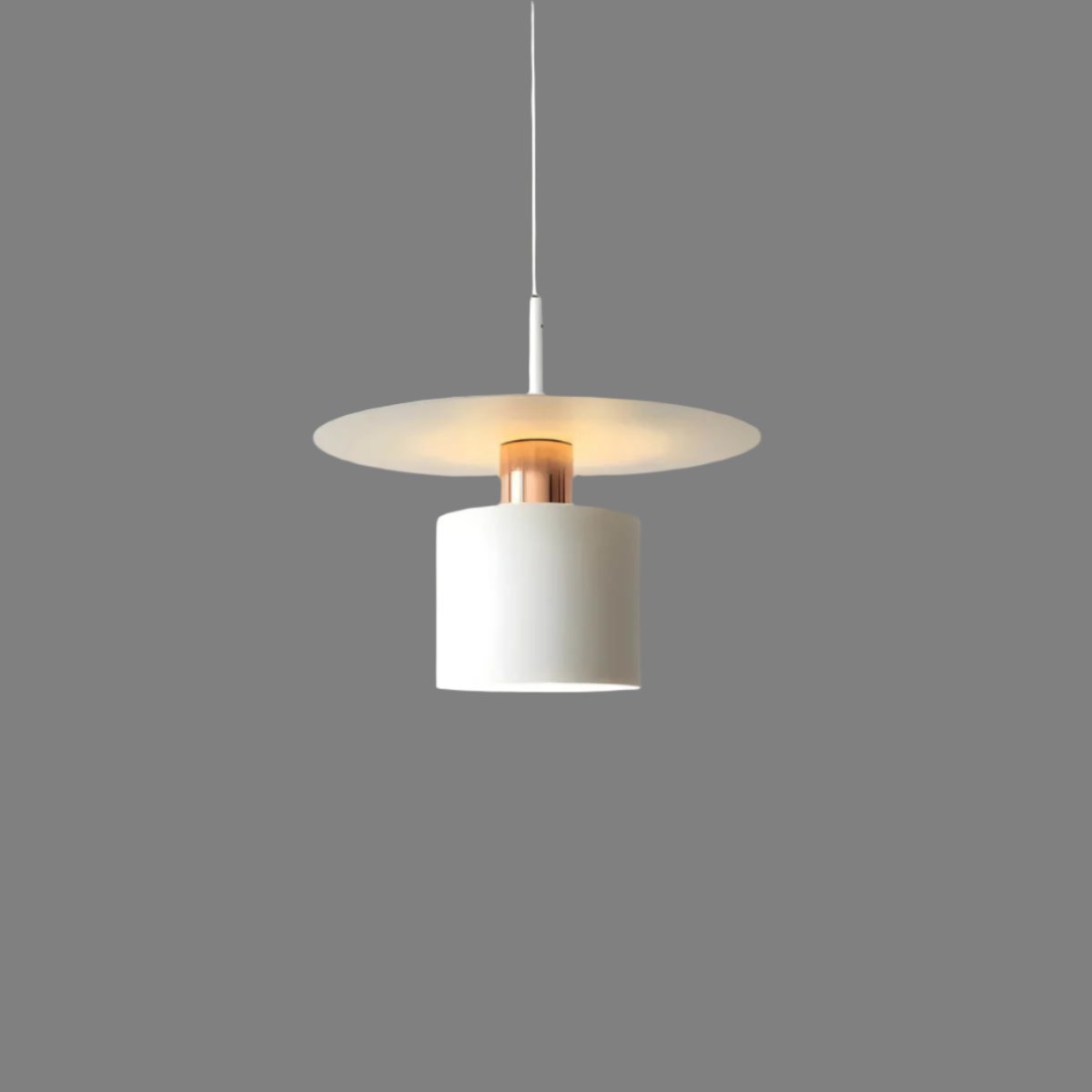 Suspension | Plafonnier Moderne Minimaliste