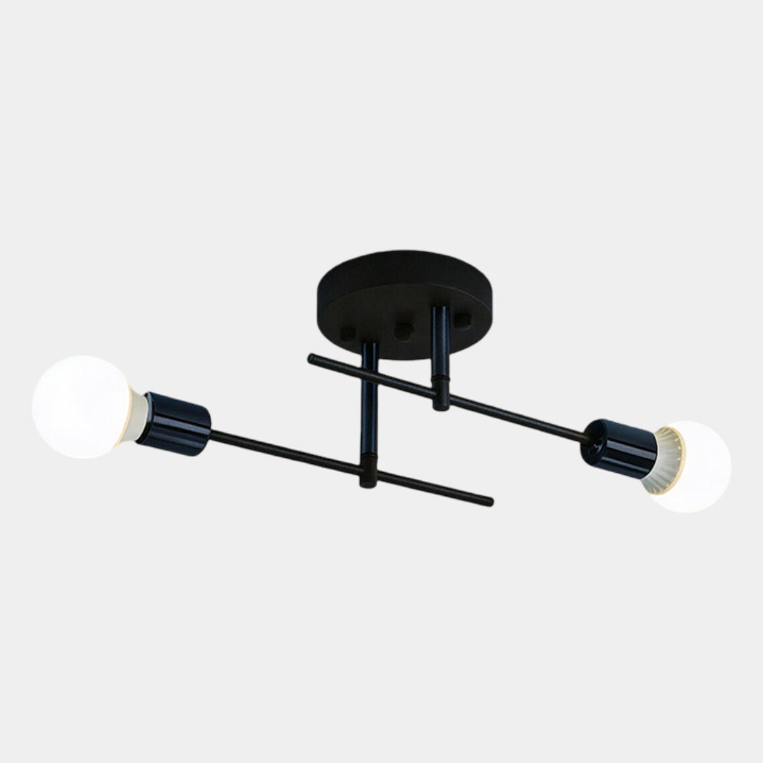 Modern 2-Light Ceiling Lamp | Black & Gold Flush Mount Chandelier