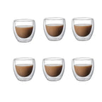 Double-Wall Glasses, Set of 6