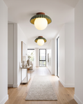 Iron and glass hallway ceiling light styled in a modern hallway